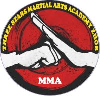 three martial art